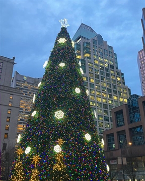 Vancouver Christmas Tree at Vancouver Art Gallery, Vancouver, BC, Canada